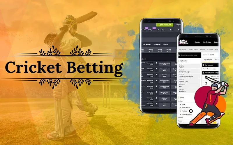 cricket betting